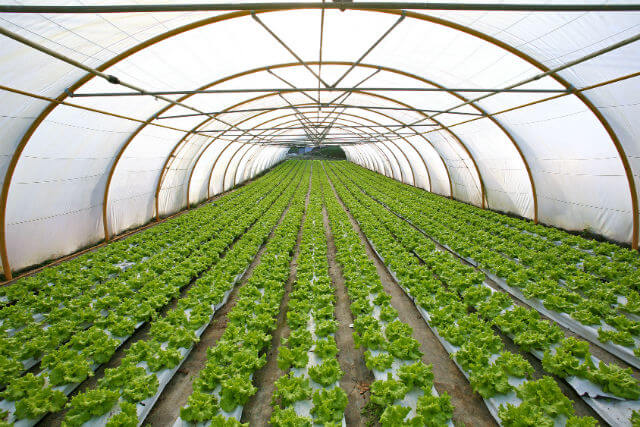 Could Indoor Agriculture, Plus Organic, Equal Super-Sustainability?