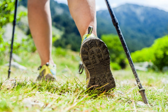 Let Hiking be Your New Wellness Tool