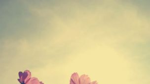 The Anti-Inflammatory Benefits of Nature and Art