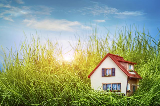 5 Things You Can Do to Add Value to Your Home Right Now