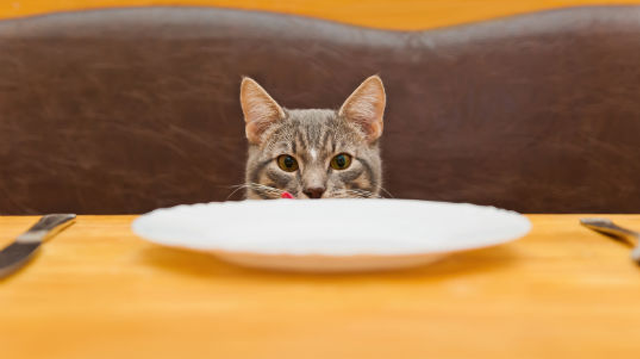 Fotolia_76171090_Subscription_Monthly_M-640x359