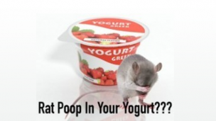 Does Your Yogurt Contain Rat Poop?
