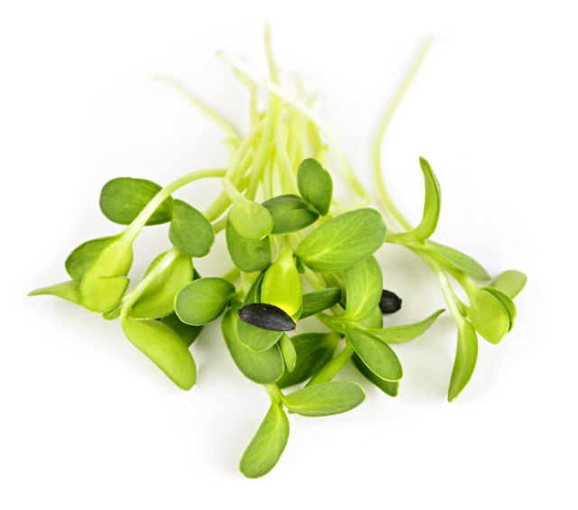 7 Reasons to Eat More Sprouts