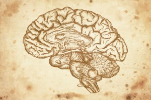 cursory drawing brain on old paper background