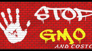 Petitions Circulate to Stop Costco Sale of FrankenSalmon