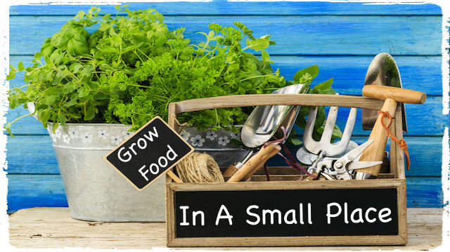 Start a Food Garden with Little Space