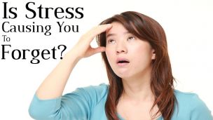 Is Stress Fracturing Your Ability to Focus and Remember?