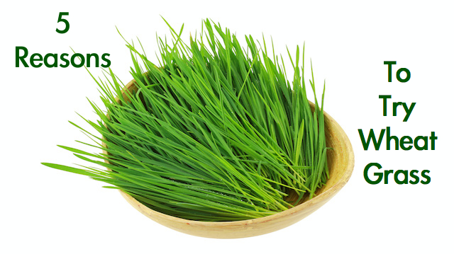 5 Reasons Why You Should Try Wheatgrass and 4 Ways to Use It