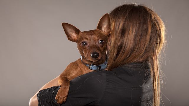Is Your Dog Using Your Hormones to Form a Love Connection?