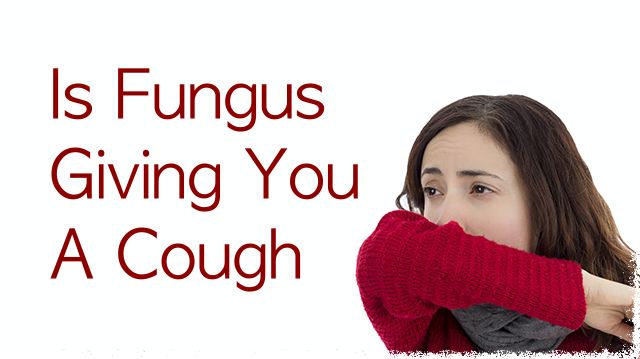 Your Cough and Cold Could Be from Fungus and It May Be More Serious Than You Think
