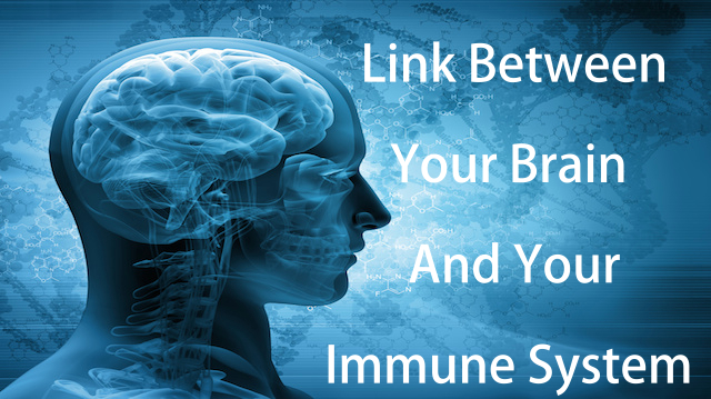 New Link Discovered Between the Immune System and Brain