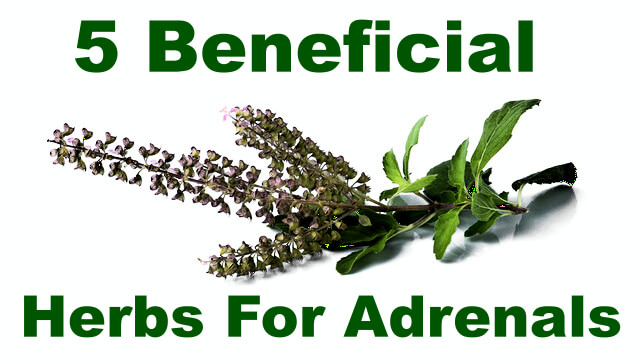 5 Beneficial Herbs to Support Your Tired Adrenals