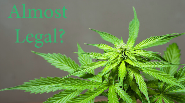 Are We Moving One Step Closer to the Federal Legalization of Marijuana?