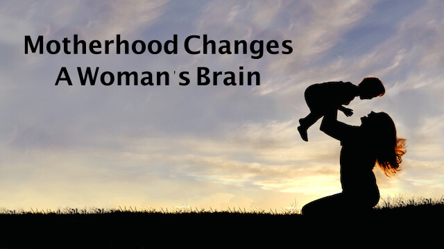 Motherhood Changes a Woman’s Brain