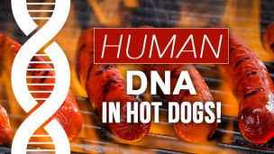 Human DNA in Hot Dogs!