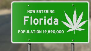 Medical Marijuana Dispensaries Chosen for Florida