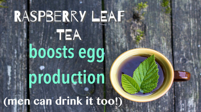 Raspberry tea on wooden table background. View from above.