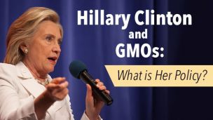 Hillary Clinton and GMOs: What Is Her Policy?