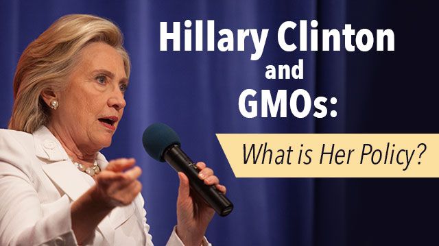 HillaryClintonGMO