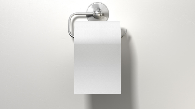 Toilet Roll On Chrome Hanger
