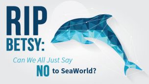 RIP Betsy: Can We All Just Say No to SeaWorld?