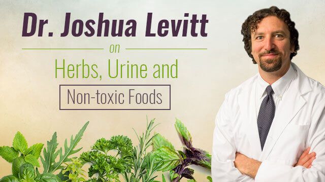 DrJoshuaLevittHerbsUrineNon-toxicfoods_640x359