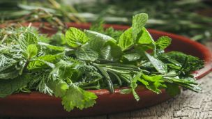 4 Herbs That Are As Good As Over-The-Counter Pain Meds