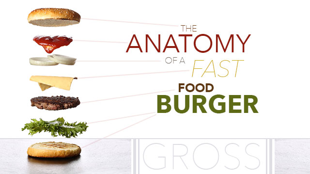 anatomyoffastfoodburger_640x359 (1)