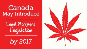Canada May Introduce Legal Marijuana Legislation By 2017