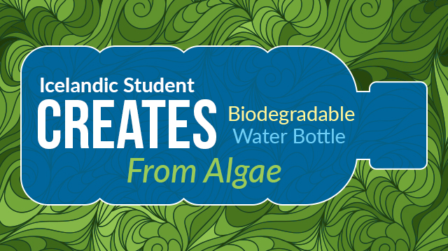 Icelandic Student Creates Biodegradable Water Bottle From Algae