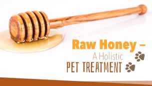 Raw Honey — A Holistic Pet Treatment