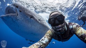 Podcast Episode #29: Kris Landers Spearfishes with Sharks, Photographs Massive Marine Animals