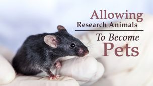 Allowing Research Animals To Become Pets