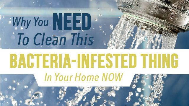 cleanbacteriainfestedthing_640x359
