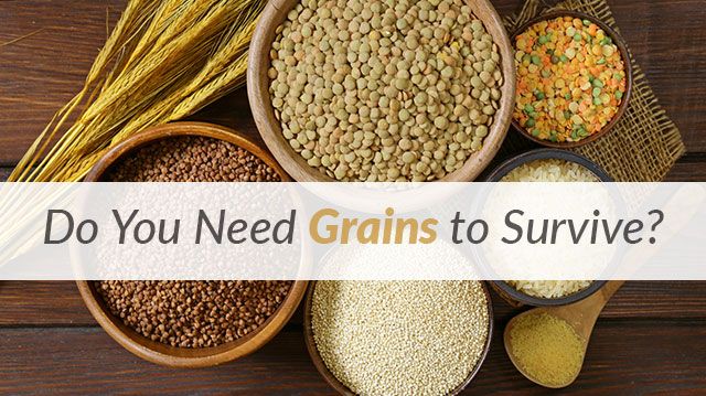 doyouneedgrainstosurvive_640x359