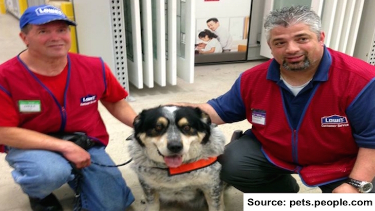 Lowe’s Hires Man With A Service Dog