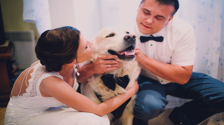 Dogs as Ring Bearers: Novel or Weird?