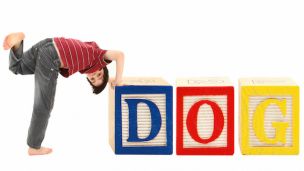 Autistic Boy Reads To Shelter Dogs