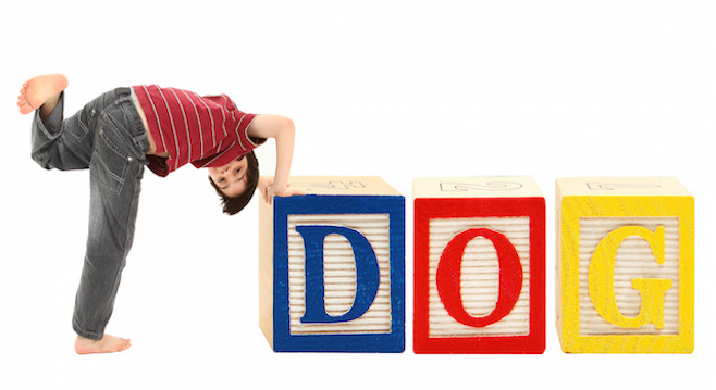 Autistic Boy Reads To Shelter Dogs