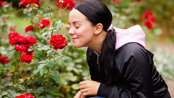 Global Warming May Hinder Our Ability To Stop And Smell The Roses