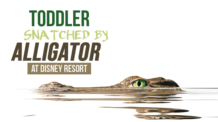 [UPDATED] Toddler Snatched By Alligator At Disney Resort