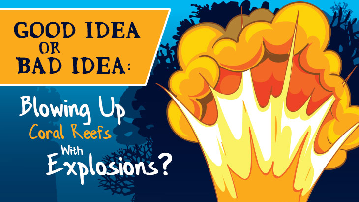 Good Idea Or Bad Idea: Blowing Up Coral Reefs With Explosions?