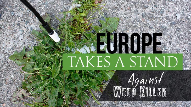 Europe Takes a Stand Against Glyphosate Weed-Killer