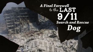 A Final Farewell To The Last 9/11 Search And Rescue Dog