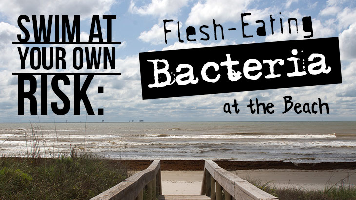 Swim At Your Own Risk: Flesh-Eating Bacteria at the Beach