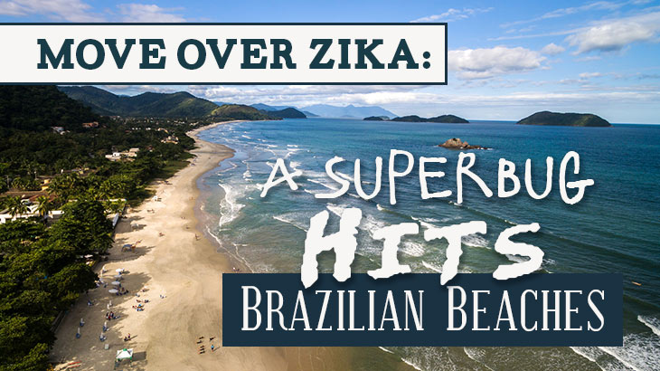 Move Over Zika: A Superbug Hits Brazilian Beaches