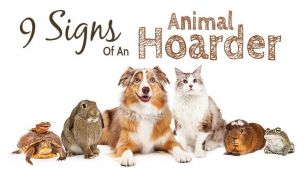 9 Signs Of An Animal Hoarder