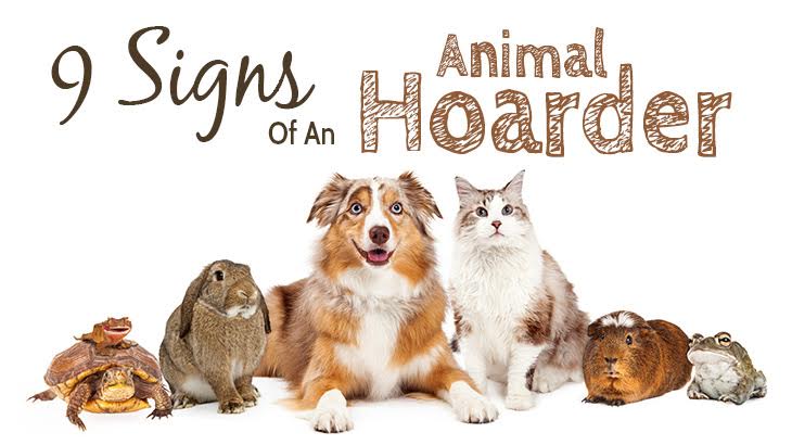 9 Signs Of An Animal Hoarder