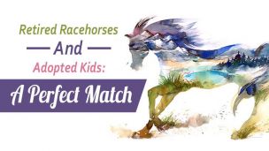 Retired Racehorses And Adopted Kids: A Perfect Match