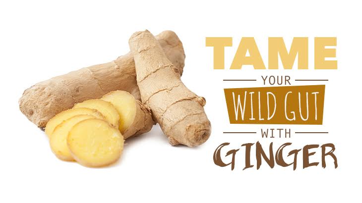 Tame Your Wild Gut With Ginger